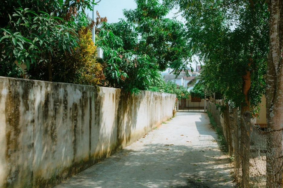 Partner_4_1.jpg?type=w1