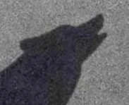 -rrZUXyt-KXvrGLdiwR95ml-MAPqLvDCcFhaiN3omDq2VMEB-MB3NZQKyF50Gt-Fw8Pzr5eWA-D2zHtmLFRsjx9qHRK6Xd5SDhv7P4qu4o9ez_ZZTb93ij8HEanPrju2gGLt2FRt