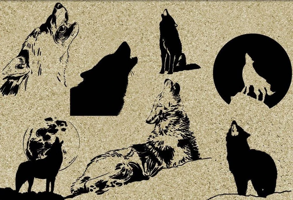 UZkBWnrjJexovJQJSJsrWFY473y01PmWzoVr53ydRpQnEYZ4yDkGxJRm4ycpZao1hwR_TJvmswzQDym_U3QVaUY1nDRO0p_J3FnZEq6meNyW5EfTZuSrfT4GGUNraaYYzfnbwr7B