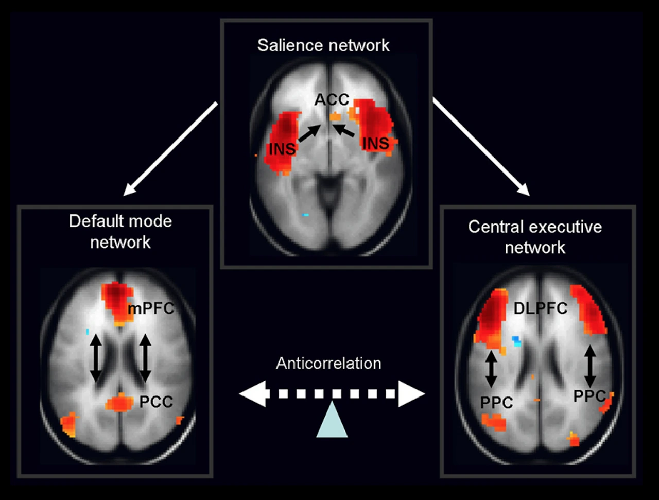dxlG9aWczze7YMpLJ8B3xBoURt2MwwjjUn5KV2kf8TvL5LS5Uc7YnxLXgZrXashvvSWk-QUSCLveuVE0pA0FOK81WjxnpgdnZXQU4ULZdL7rh3XgybudXYfVRJ2eHXJjLmf47GBU