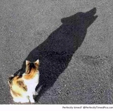 T3db6owoDpWB9l93ahhbFW3NX4QdwpqOcpouPjFtPJQzuYO99tm0CDzDNjZInhIijo6k9dAFcggnl35VAx8dC_LN2MQLWJ_-3luqpuffM1eClJle43pkwByY5Hd_M4XUQim31TNF