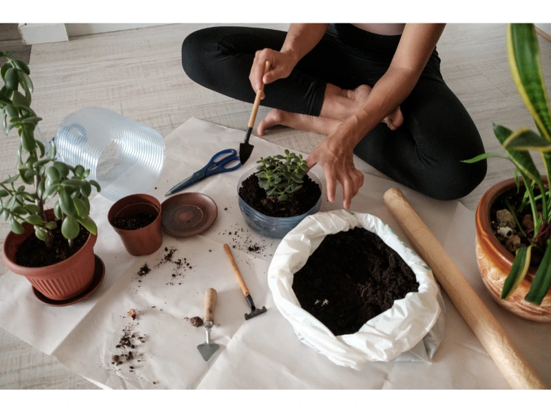 eb6egm5xr28b6g226vs0rvh8yv0e