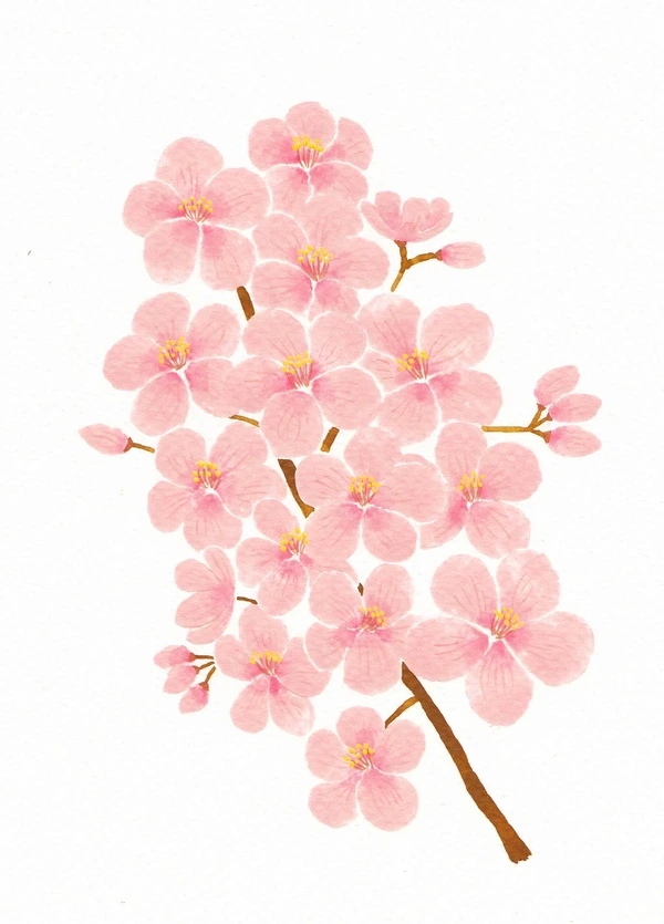 image_1558484951520602938997.jpg?type=w773