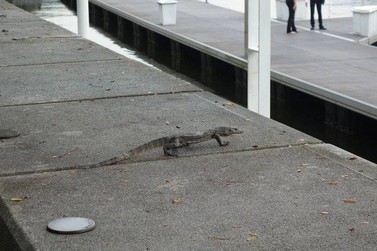 993D8C3359B288F711DB41