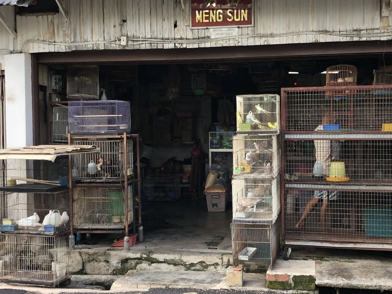 9934B93C5C60CB61439440