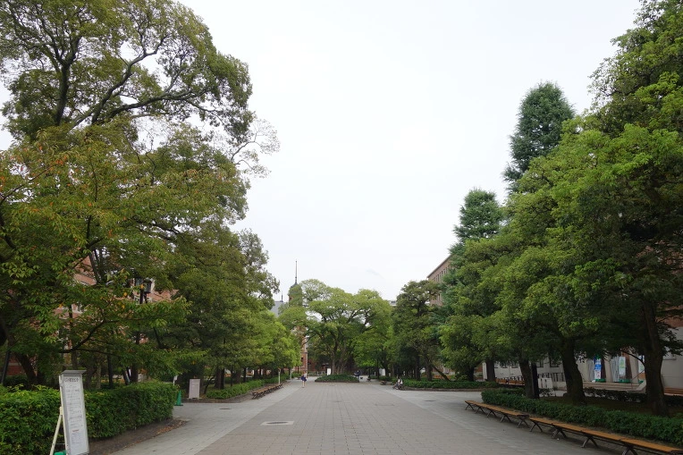 99778F3359D4E0251DB4F4