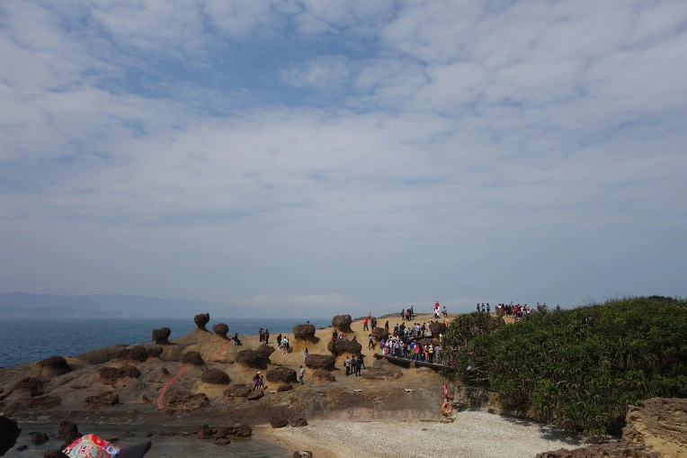 99DE45435A9FE6971E559A