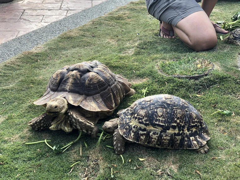 99487F3C5C60CB640B3BAC