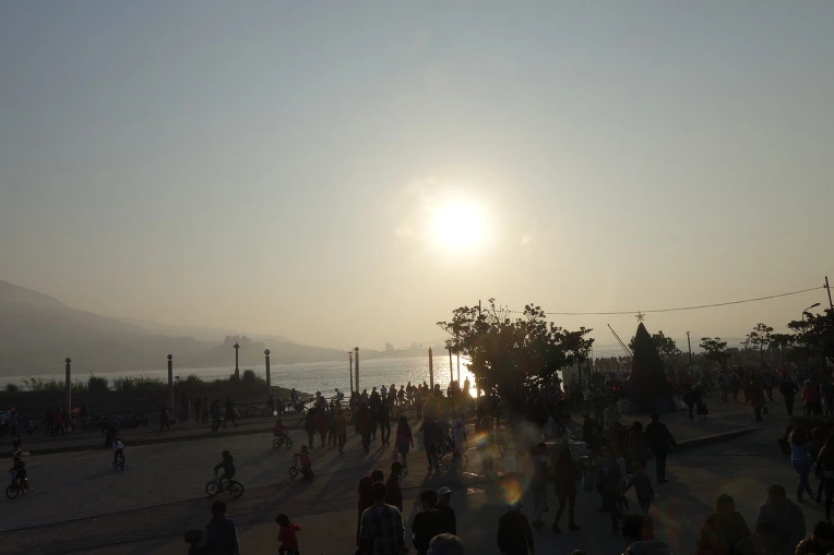 99AA663A5A995767340F19