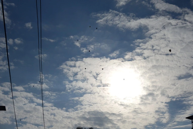 99CD92455A9FE7561C9092