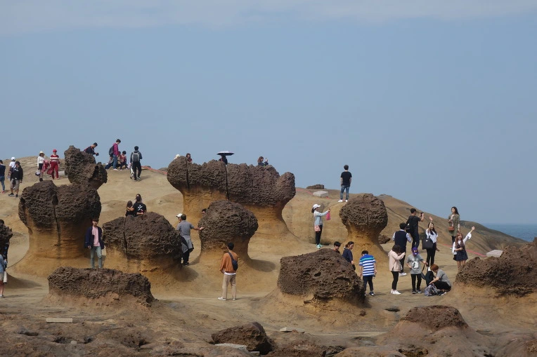 992D7D4C5A9FE6F60A9054