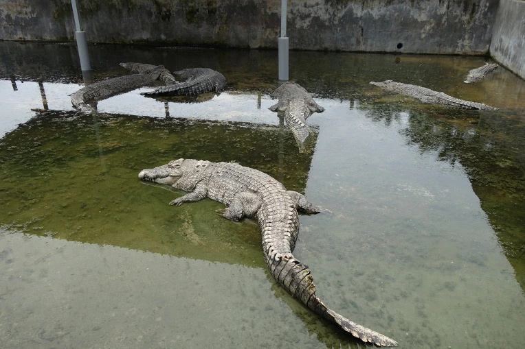 9972563359B2885305BF02