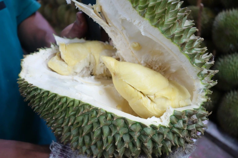 9981E73359A969F60C5F92