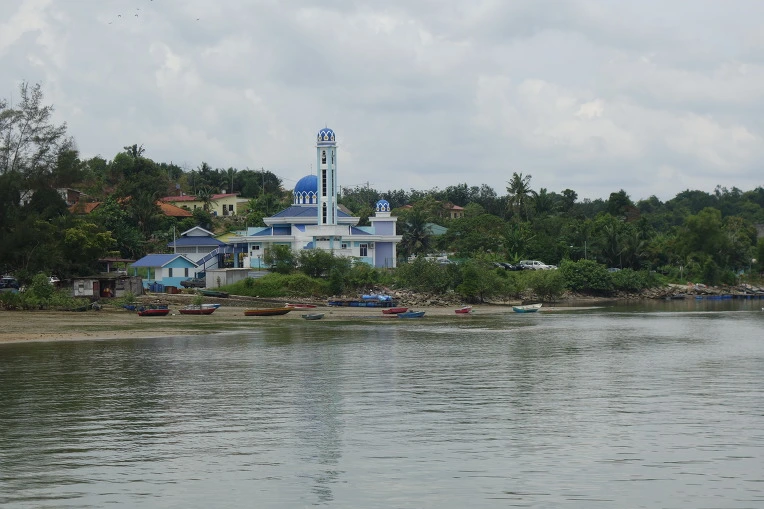 99DC313359B28880232976