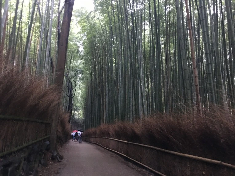 99C7593359D78B5A2DD4D3