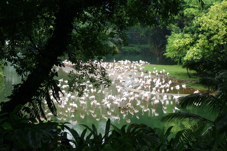 99E0163359A968DD1ACE0A