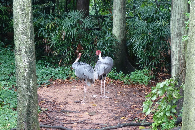 99C2673359A96914366B73