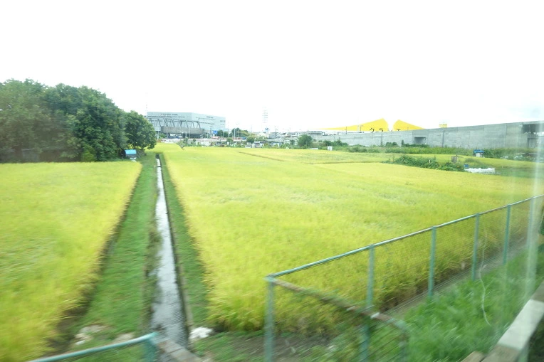 994E8F3359DAE28A2D63CD