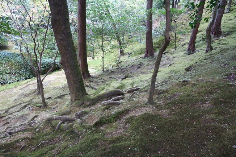 9939F33359D4DFE829E20E