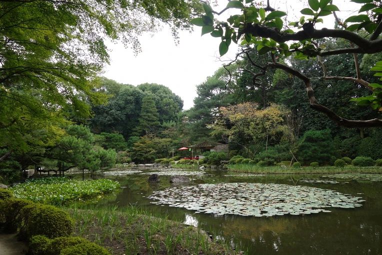 9964B23359D4DE442E436E