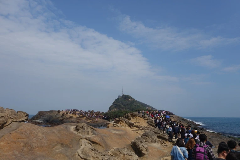 991306435A9FE6931A5555