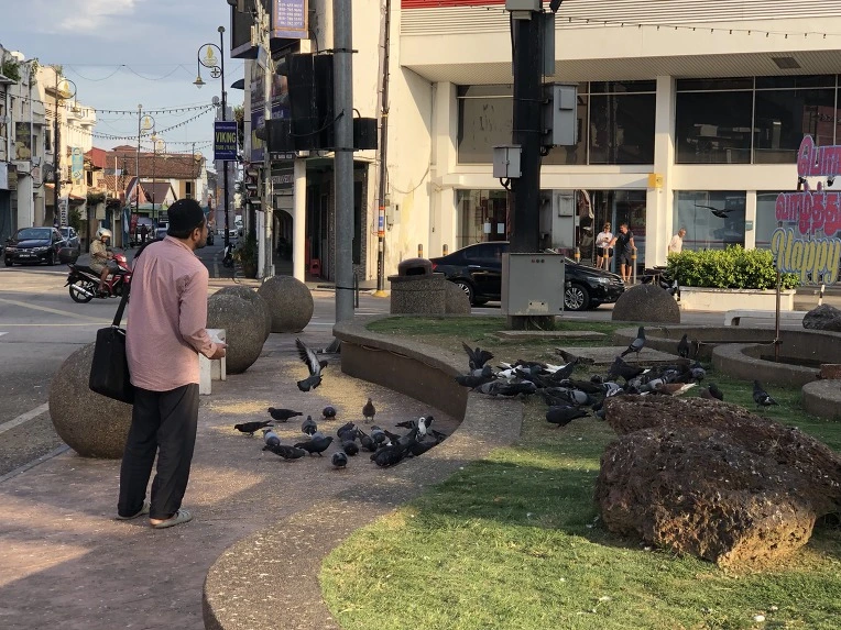 999ECE375C60CBCF0FE3DF