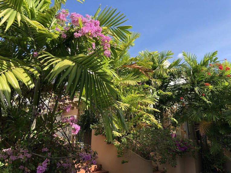 995C213A5C60CC9210CCA4