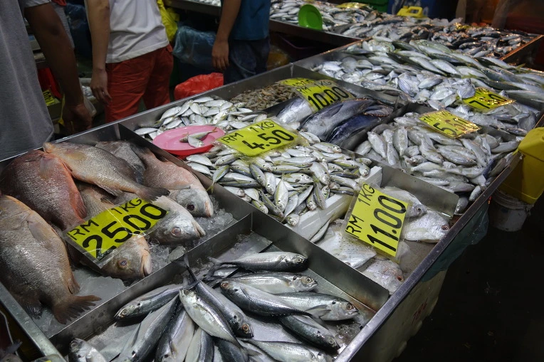 990BBC3359A969F20116E6