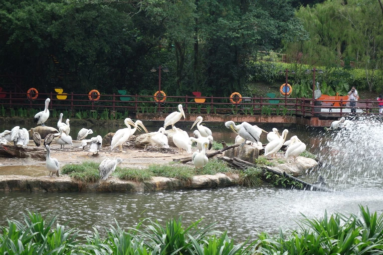 99F39A3359A9691931B2C4