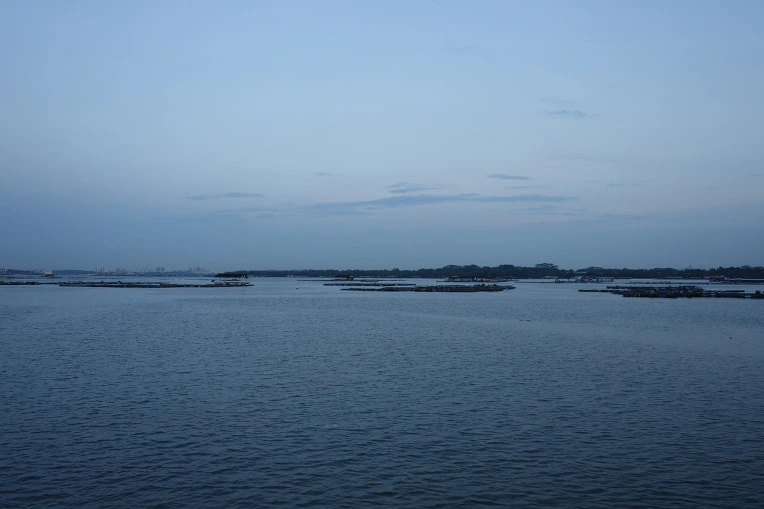 993A9D3359B933CE2D7A74