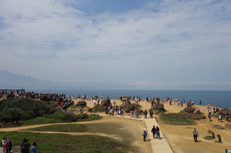 99BE2C455A9FE6C70854D8