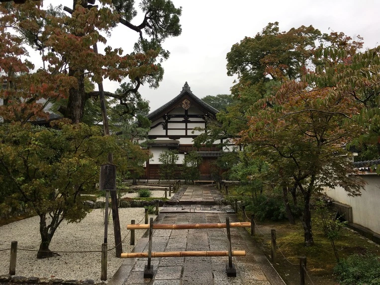 99B2293359D78B1C2C94A3