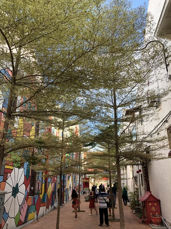 99EACD365C60CAF81336BC