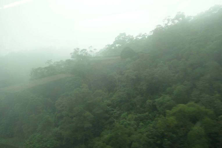 995A6F375A9404BF0FECD4