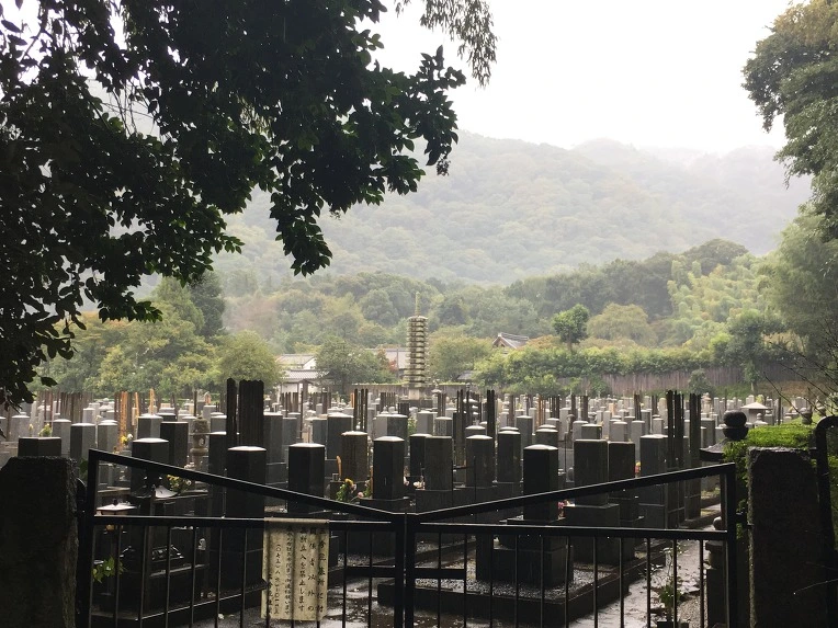 99ECD43359D78B5614D7D2