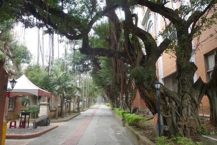 99BD20335A995676218430