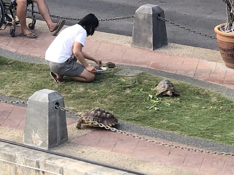 9934EF3C5C60CB5F0C2B89