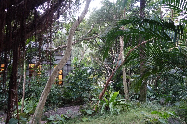 99A4653D5A9405A81202AD