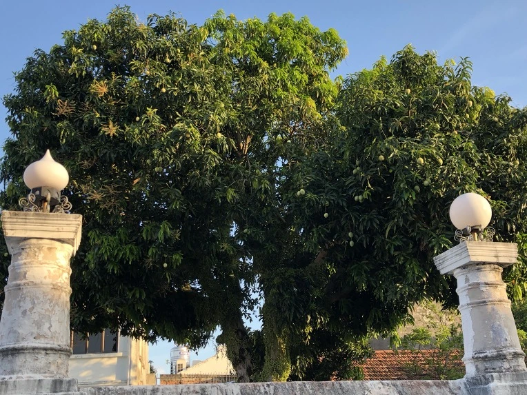 9996A4375C60CBD20F56A8