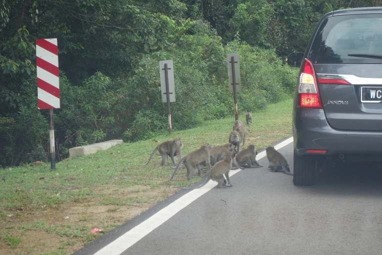 99A0803359B288B82E63E3