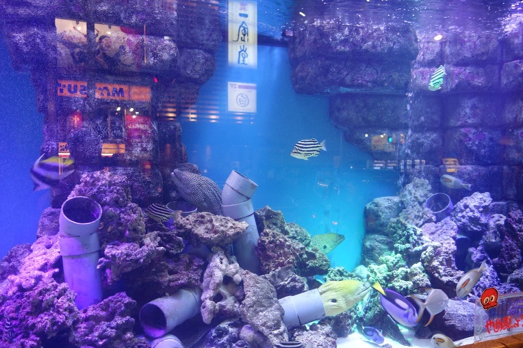 99BE9D3359DAE3082FE583