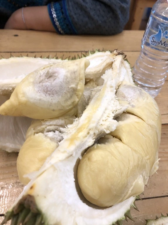 99F690375C60CC2E15A0D5