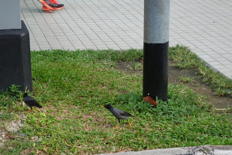 99DB923359A9689C2BD269