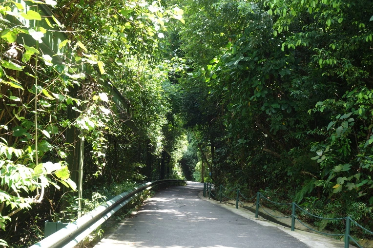 99C5013359B13C5E2FAC03