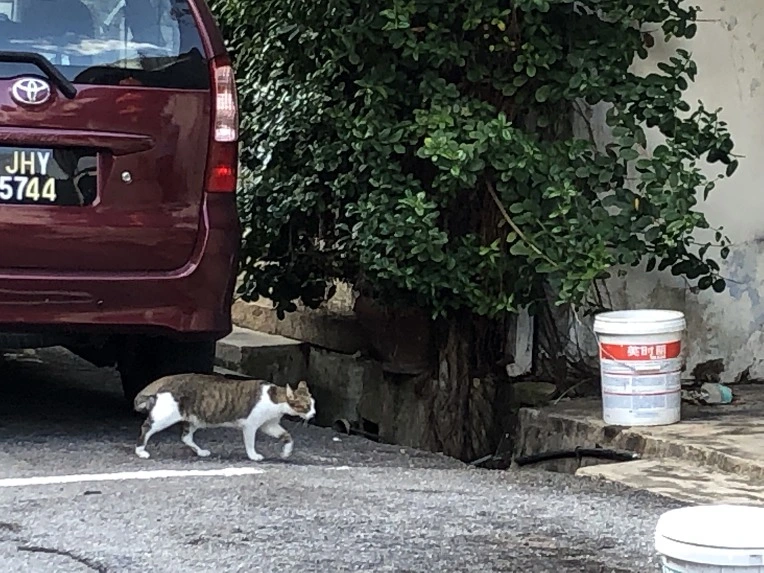 991CA0375C60CBCD0AFC7A