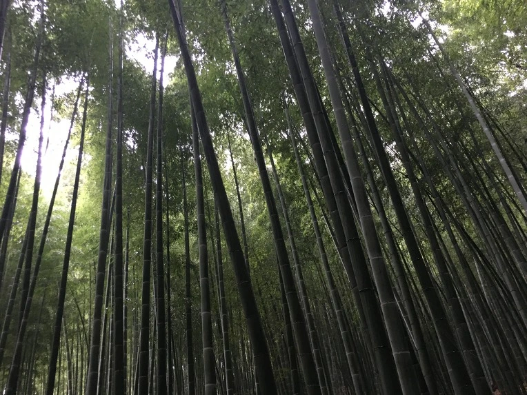 99B9753359D78B5818852D