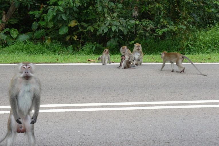 99B6613359B288B302FD5E