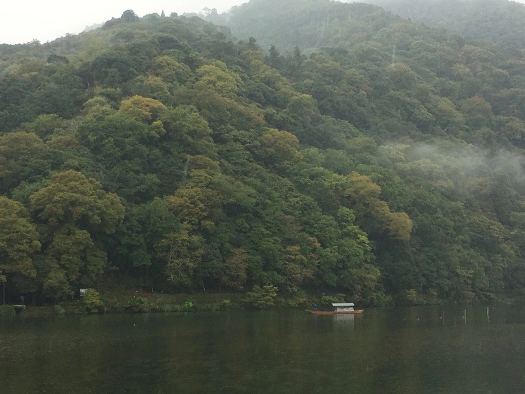 9932453359D78BBF2AEC16