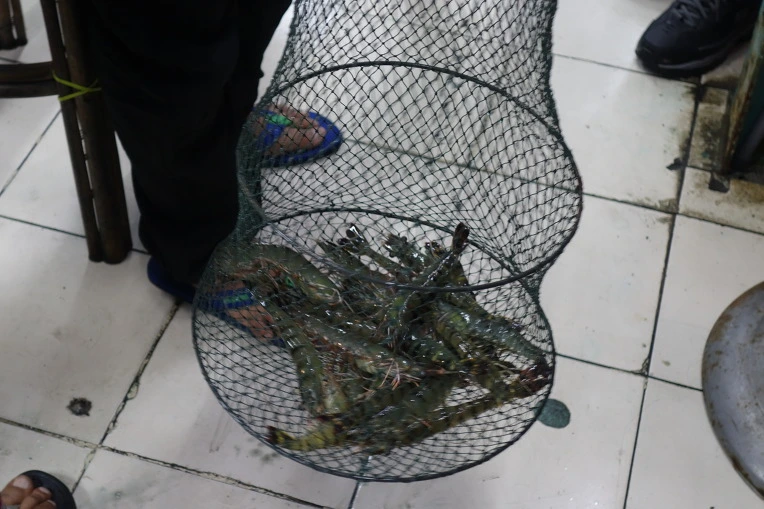 99909F3359B9344E206FEB