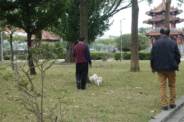 994B1A335AA920EB2AAFB0